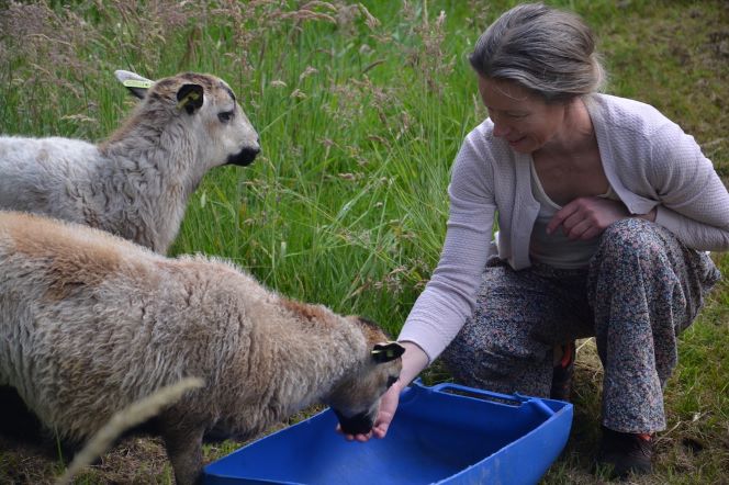 individuele leefstijl retraite drenthe natuur groningen